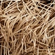 recycle shredded paper